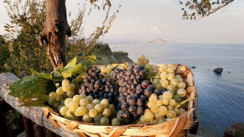 Albergo 'La Vigna' Procida Exterior photo